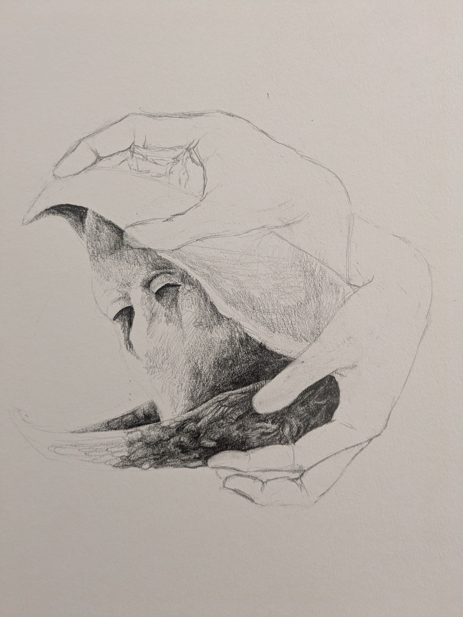 Void, travail en cours