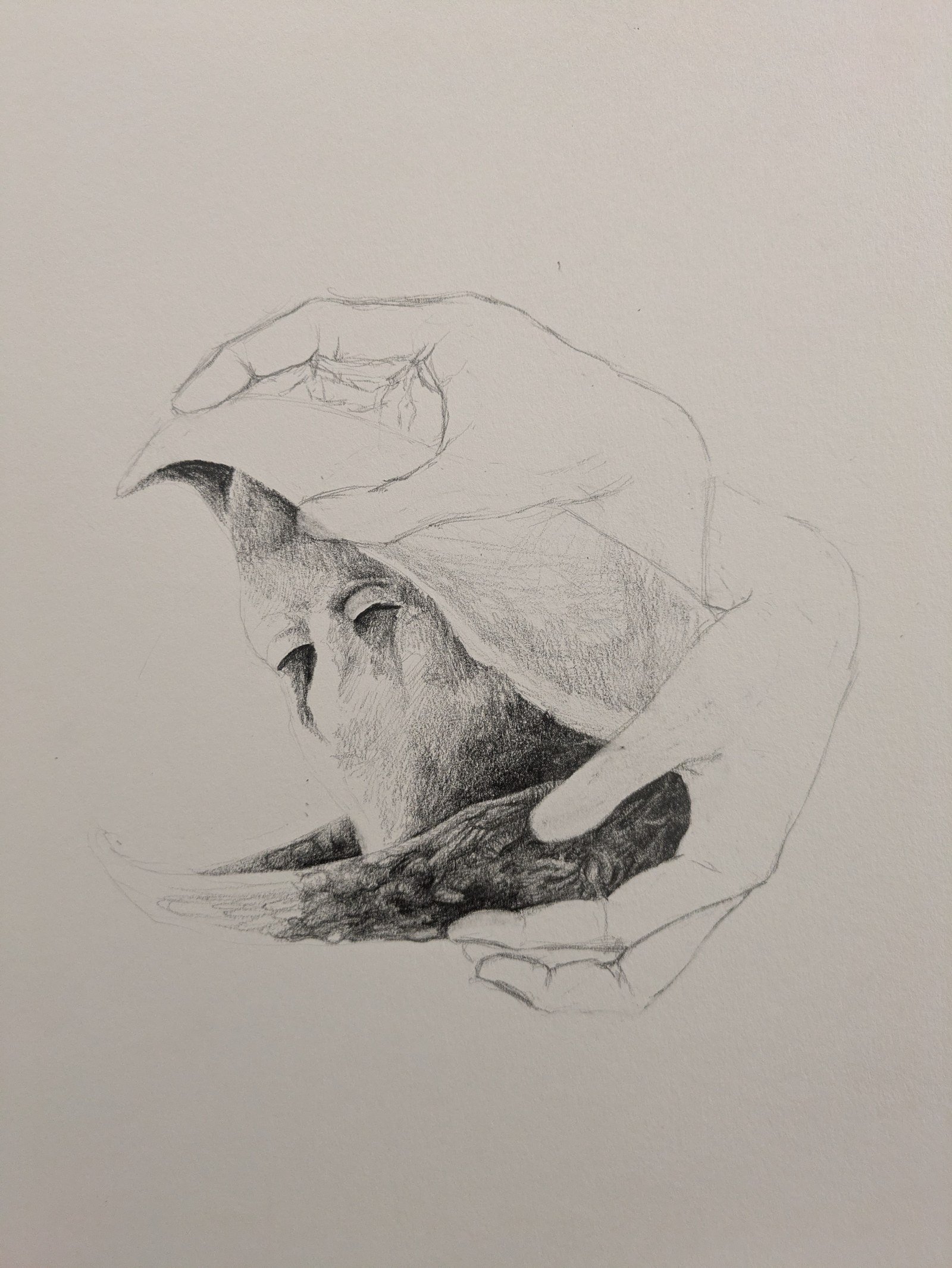 Void, travail en cours
