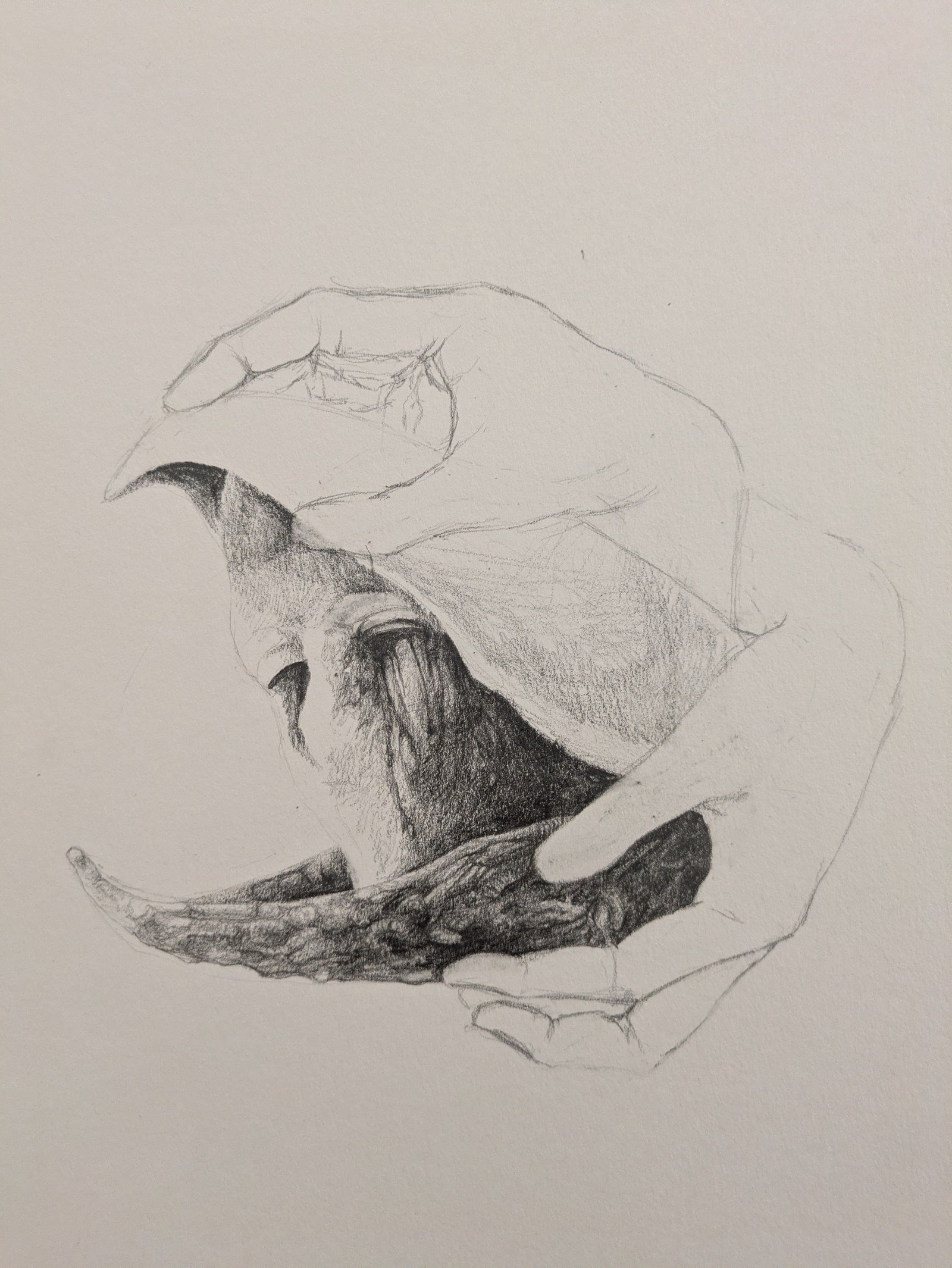 Void, travail en cours