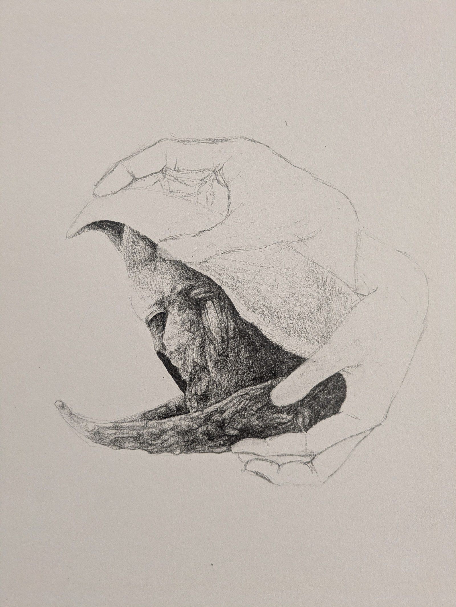 Void, travail en cours