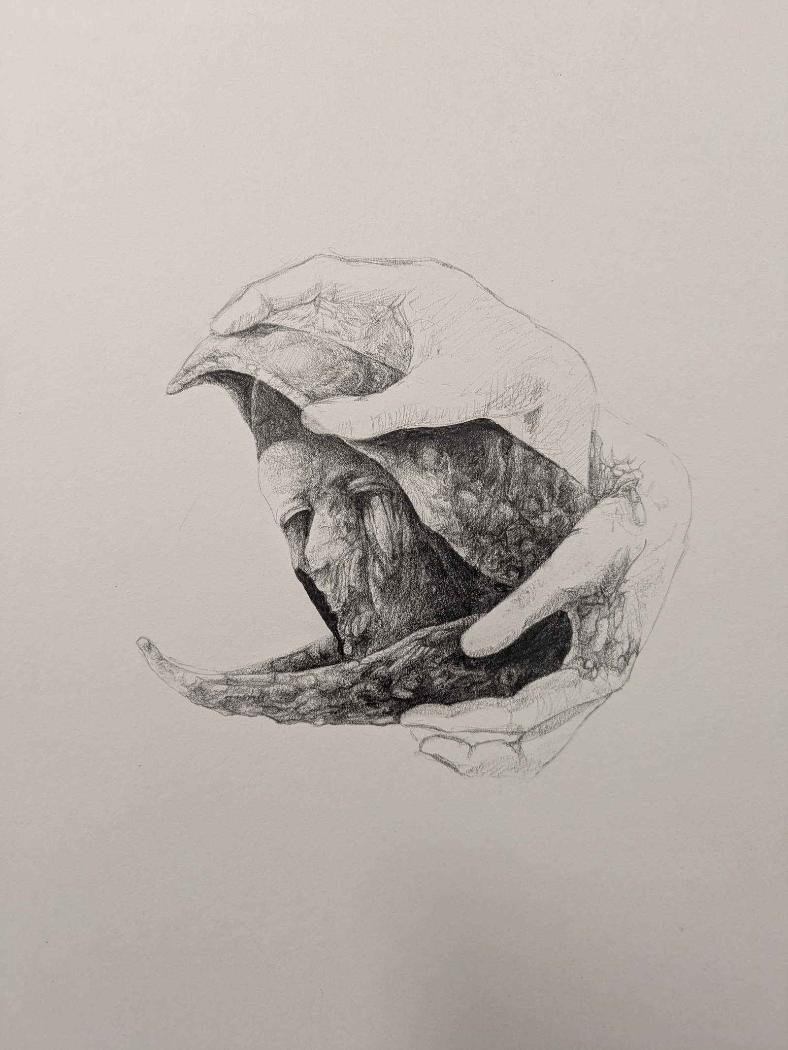 Void, travail en cours